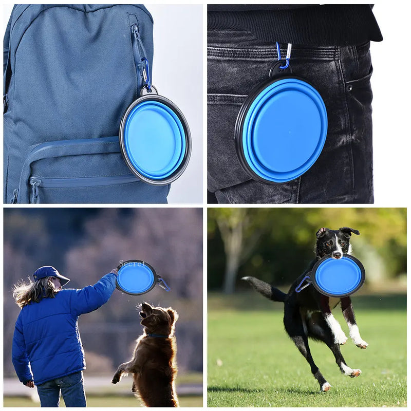 Collapsible Pet Silicone